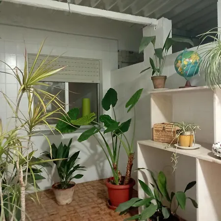 Castillo De Arena Apartment Puerto de Sagunto